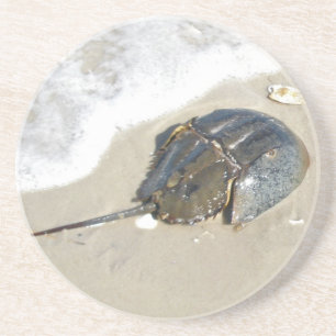 Horseshoe Crab Coaster