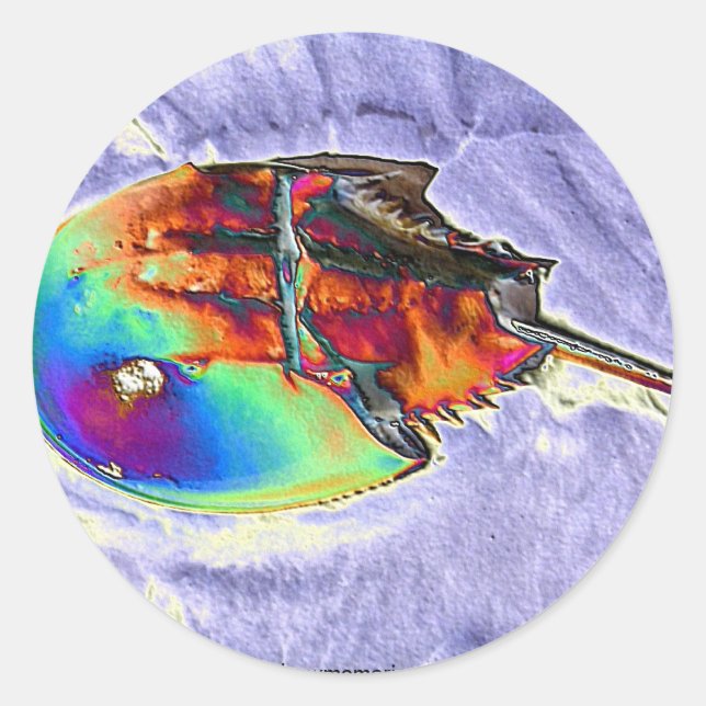 Horseshoe Crab Foil Design Classic Round Sticker (Front)