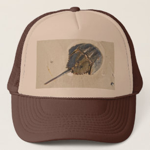 Horseshoe Crab Hat