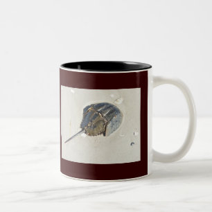 Horseshoe Crab Mug