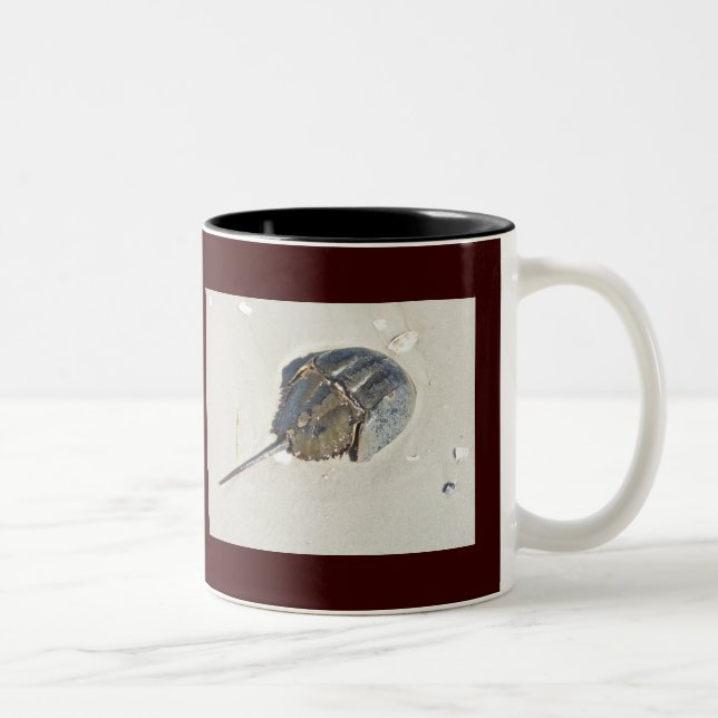 Horseshoe Crab Mug (Right)