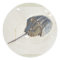Horseshoe Crab Sticker