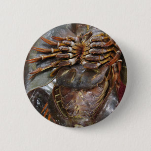 Horseshoe Crab ... Thai Asian Street Food 6 Cm Round Badge