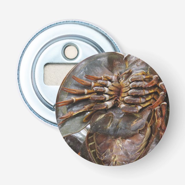 Horseshoe Crab ... Thai Asian Street Food Bottle Opener (Front)