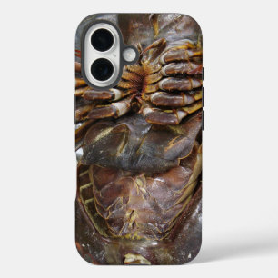 Horseshoe Crab ... Thai Asian Street Food iPhone 16 Case