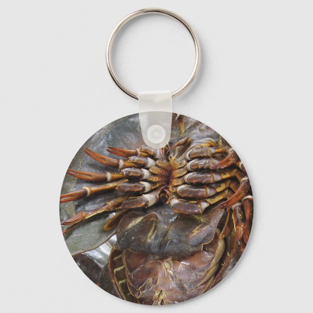 Horseshoe Crab ... Thai Asian Street Food Key Ring (Front)