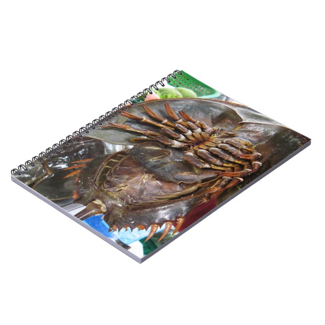 Horseshoe Crab ... Thai Asian Street Food Notebook (Left Side)