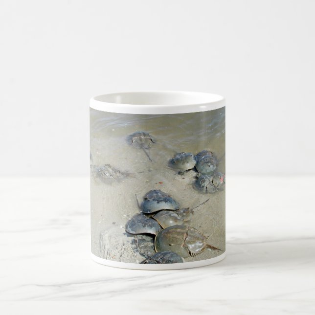Horseshoe Crabs in water Coffee Mug (Center)