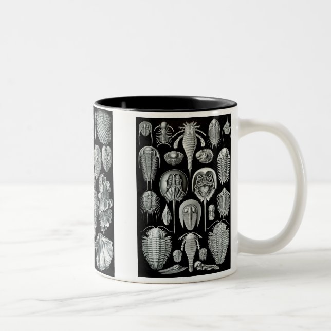Horseshoe Crabs, Trilobites & Snails Two-Tone Coffee Mug (Right)