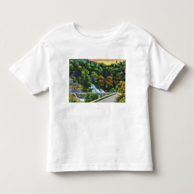 Horseshoe Curve View of Bastion Falls Toddler T-Shirt (Front)
