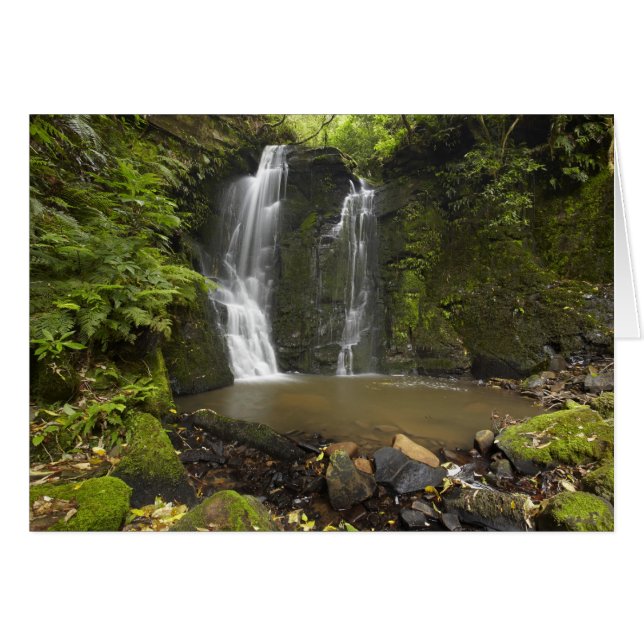 Horseshoe Falls, Matai Falls (Front Horizontal)