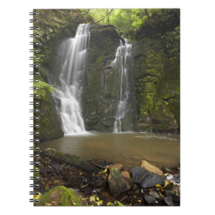 Horseshoe Falls, Matai Falls Notebook