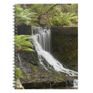 Horseshoe Falls, Mount Field National Park, Notebook