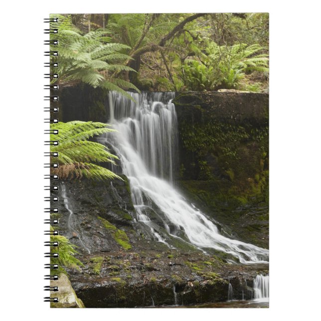 Horseshoe Falls, Mount Field National Park, Notebook (Front)