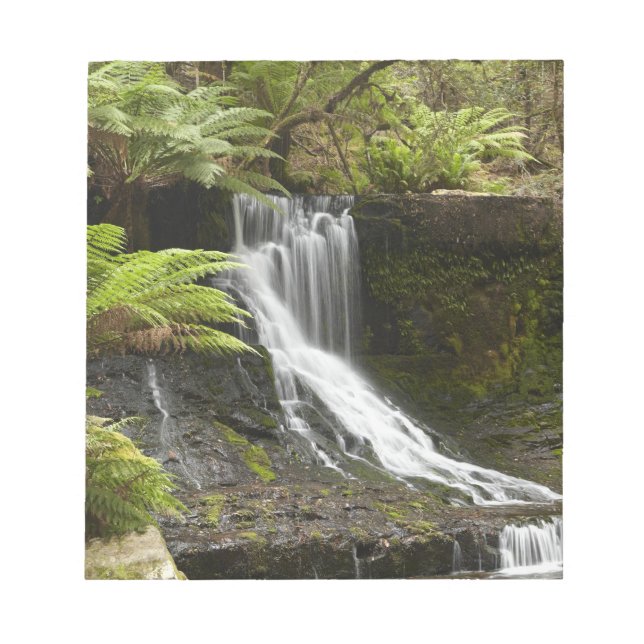 Horseshoe Falls, Mount Field National Park, Notepad (Front)