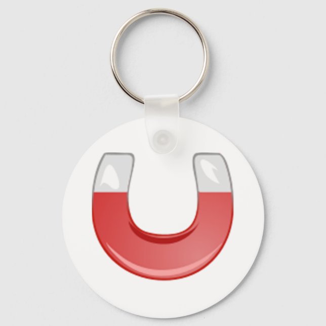 Horseshoe Magnet Key Ring (Front)