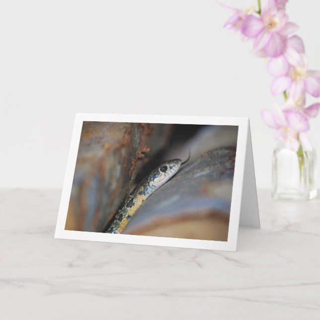 Horseshoe Whip Snake Card (Orchid)