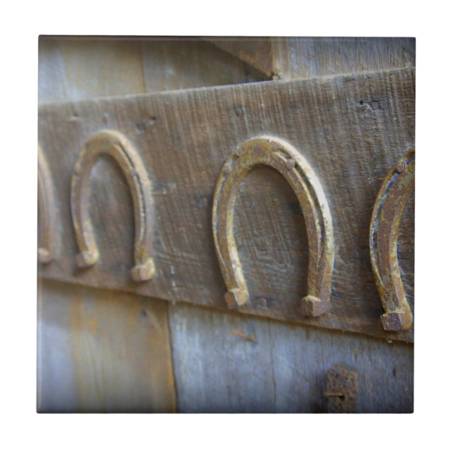 Horseshoes Tile (Front)