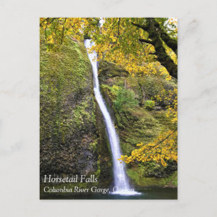 Horsetail Falls, Columbia River Gorge, Oregon Post Postcard