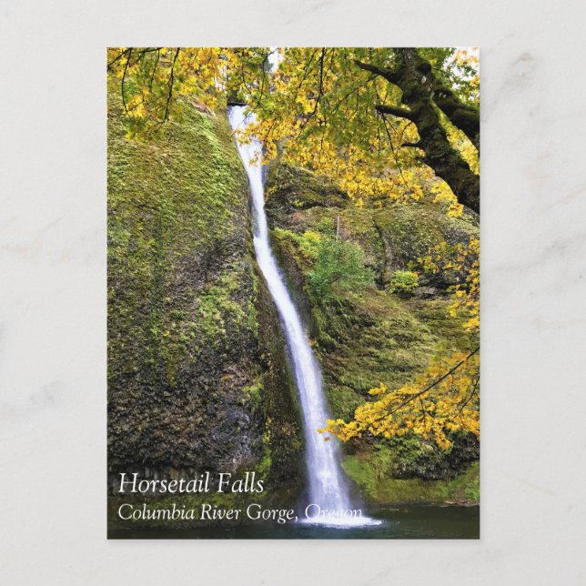 Horsetail Falls, Columbia River Gorge, Oregon Post Postcard (Front)