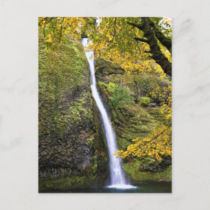 Horsetail Falls, Columbia River Gorge, Oregon Postcard