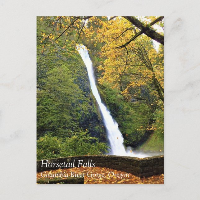 Horsetail Falls, OR Postcard (Front)