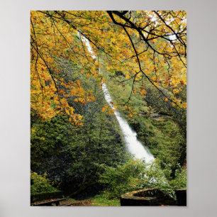 Horsetail Falls, OR Poster