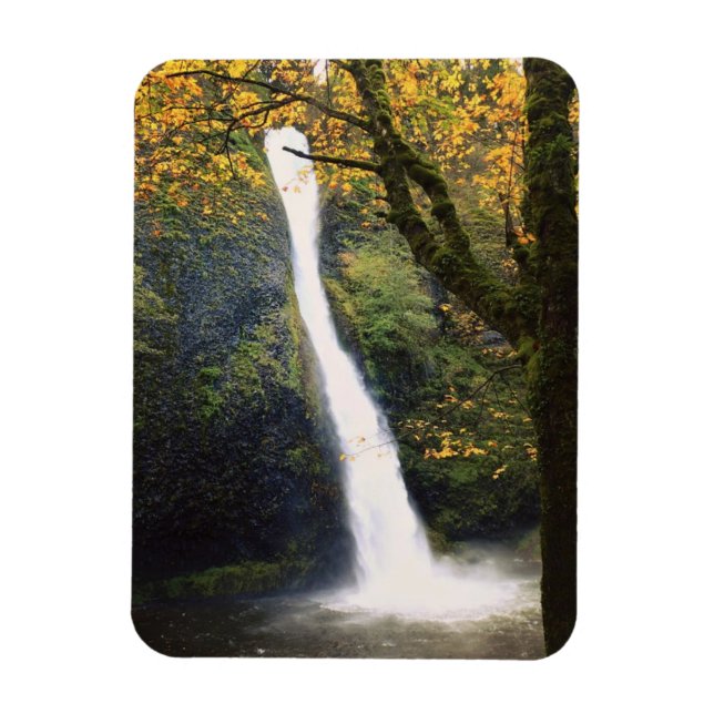Horsetail Falls, Oregon Magnet (Vertical)