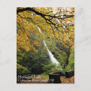 Horsetail Falls, Oregon Postcard