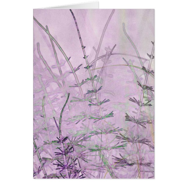 Horsetail Grass/Stems Card (Front)