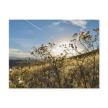 Horsetooth Reservoir Colorado Postcard