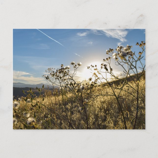 Horsetooth Reservoir Colorado Postcard (Front)