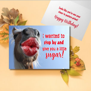Horsin' Around For Your Birthday Card