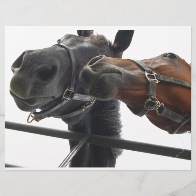 Horsing Around (Front)