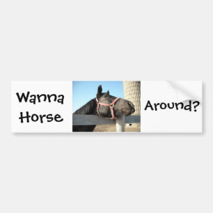Horsing Around Bumper Sticker