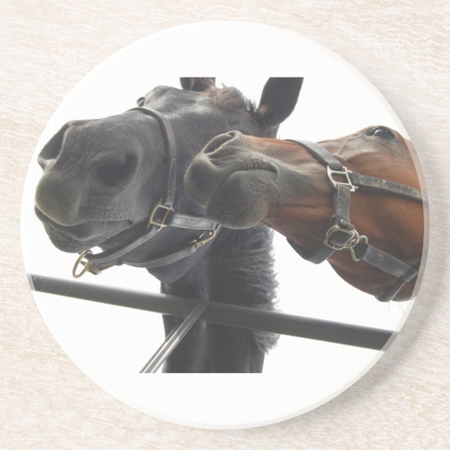 Horsing Around Coaster (Front)