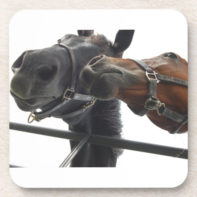 Horsing Around Coaster (Front)