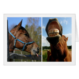 Horsing Around custom greeting card