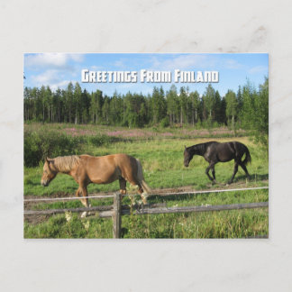Horsing around in the Finnish Countryside Postcard