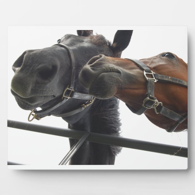 Horsing Around Plaque (Front)