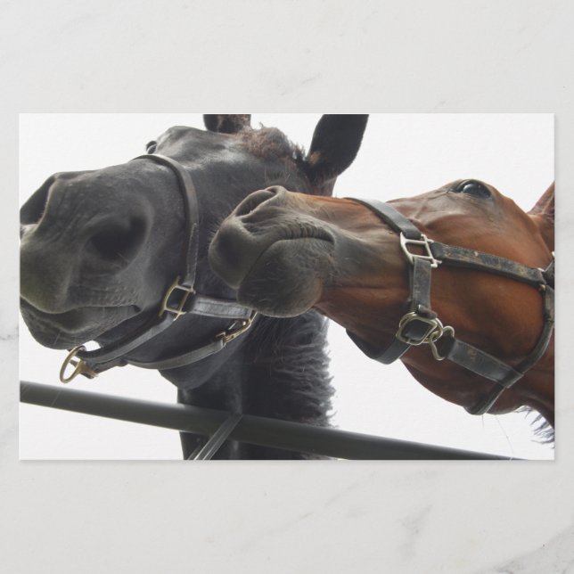 Horsing Around Stationery (Front)