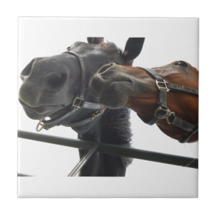 Horsing Around Tile