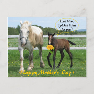 Horsy Mother's Day Postcard