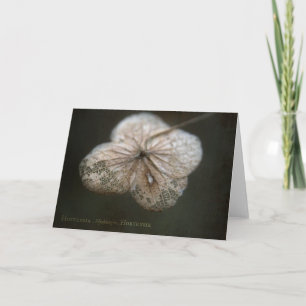 Hortensia Greeting Card
