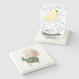 hortensia(Hydrangea sp.) by Redouté Stone Coaster