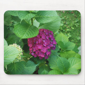 Hortensia Pad Mouse Pad