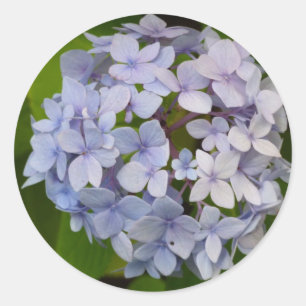hortensie classic round sticker