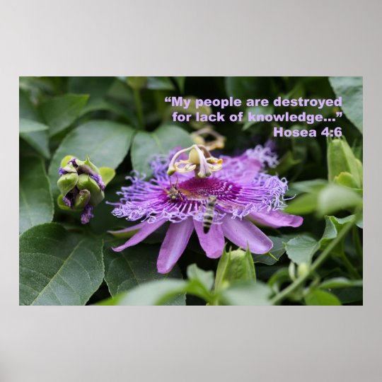 Hosea 46 Scripture Poster