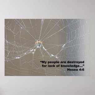 Hosea 4:6 Scripture Poster, Version D Poster