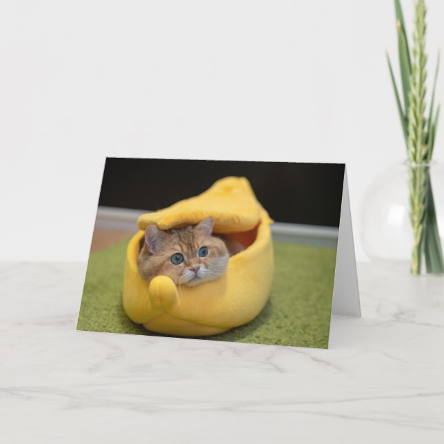 Hosico and banana card (Front)